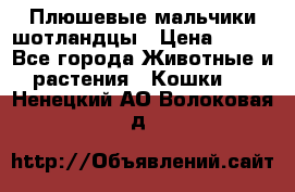 Плюшевые мальчики шотландцы › Цена ­ 500 - Все города Животные и растения » Кошки   . Ненецкий АО,Волоковая д.